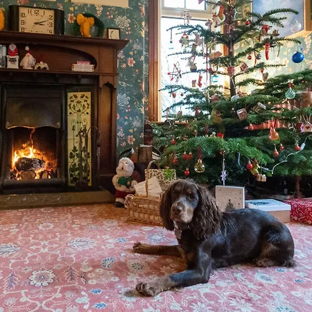 The Mount Holiday